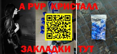 jwh Кингисепп