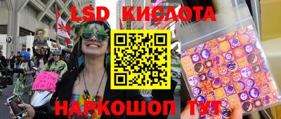 jwh Кингисепп