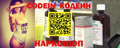 jwh Кингисепп
