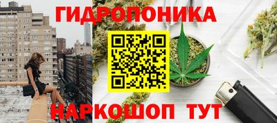 jwh Кингисепп
