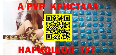 jwh Кингисепп