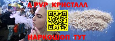 jwh Кингисепп